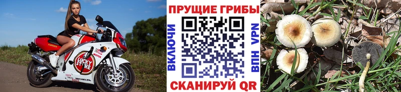 купить наркотики цена  сайты даркнета наркотические препараты  Галлюциногенные грибы MAGIC MUSHROOMS  Грязи 